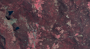 NP Šumava 2015 - 2019 5
